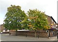 Autumn colour on Coppice Road in NG19 0JE