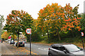 Autumn colours in Shirehampton in BS11 9NU