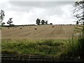 Bales in a field, south-west of Elkington in Elkington