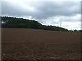 Field and woodland, Newton Hurst in WS15 3PH