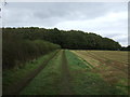 Track towards Cook's Coppice in WS15 3EP