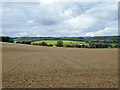 Field on south slopes of Great Stour valley in CT4 7TH