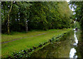 Trent and Mersey Canal south-west of Fradley Junction, Staffordshire in WS13 8EW