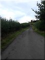 Rowney Green bridleway in B48 7ST