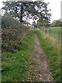 Rowney Green bridleway in B48 7QS