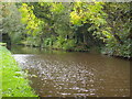 The Caldon Canal at Froghall in ST10 2AA