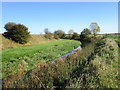 The River Witham at Barnby in the Willows in NG24 2SB