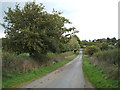 Country lane near Swilcarlawn Farm in ST14 8FF