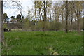 Wooded floodplain in IP27 0PL
