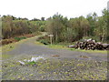 Forest track and crossing path in Pendreich Wood in FK9 4LT