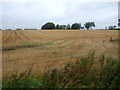 Stubble field towards Stonefold in TD10 6UN