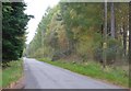 A narrow minor road through Brathens Wood in AB31 4EQ