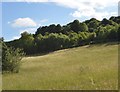 Slope of the Hughenden Valley in HP14 4PN