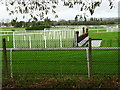 Cheltenham Racecourse - Water jump in Prestbury