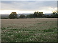 Stubble field off Swainsea Lane in YO18 8NE
