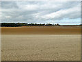 Ploughed field near Updown Farm in CT14 0EG