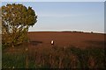 Fields off Normanton Road, Bottesford in NG13 0BB