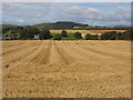 Straw awaiting baling, near Fowlis in DD2 5NR