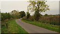 The road near Hill Farm in B46 2DG