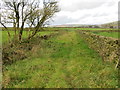 Enclosed footpath between Peter Laithe and Buttock Laithe Farms in BB8 7BH