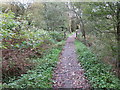 Path and Footbridge beside Colne Water near Laneshaw Bridge in BB8 7HJ