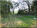 Field entrance on Newport Road, Chicheley in Chicheley