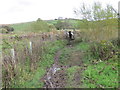 Muddy footpath and bridge about to cross a small tributary of Wycoller Beck in BB8 8SY
