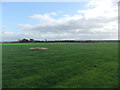 Fields near the airport in TS16 0QT
