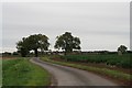 Dove's Lane, looking towards Butterwick in Butterwick
