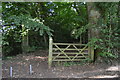 Footpath into the woods in HP14 4QB