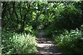 Footpath, Naphill Common in HP14 4RG