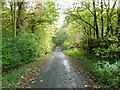 Road between Beaton's Lodge and Fairholm in ML9 2TJ