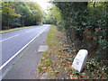 Milestone on Epping Road in CM16 6TT