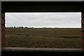 Freiston Low saltmarsh viewed from Cut End Hide in Scrane End