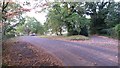 Autumn leaves on the road by Chilworth church in SO16 7JN