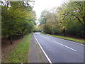 Epping Road in Epping Forest in CM16 6TT