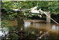 Flood debris on the river Derwent in Calver
