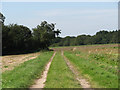 Track to the west of Park Farm in NR10 3AW
