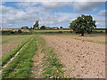 Footpath across farmland near Foy in HR9 6QZ