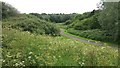 Path in Woodgate Valley Country Park in B32 1SD