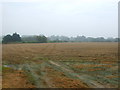 Stubble field near County Farm in South Creake