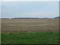 Stubble field off the road to Shernborne in Shernborne