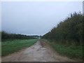 Farm track (permitted path) off Ling House Road in PE31 6LS