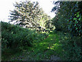 Unmarked path near Buxton Road in NR12 7NF