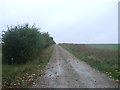 Track heading north from King's Avenue in PE35 6EF
