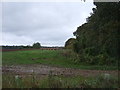Field and woodland east of West Newton in PE31 6EN