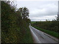 Lane towards Flitcham village in PE31 6BB
