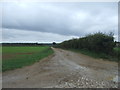 Farm track, Flitcham in PE31 6BX