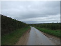 Lane towards Flitcham village in PE31 6BX