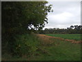 Field margin off Common Drove in PE31 6BY